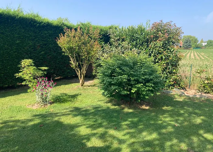 Brigitte Olivier Accommodatie bij particulieren Teloché