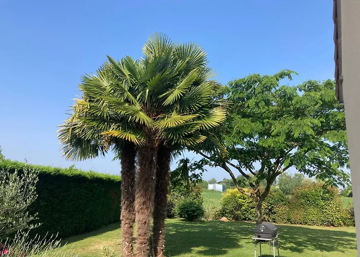 Brigitte Olivier Teloché